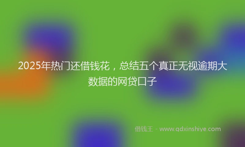 2025年热门还借钱花，总结五个真正无视逾期大数据的网贷口子