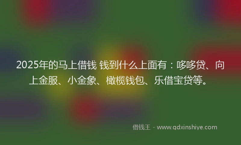 2025年的马上借钱 钱到什么上面有：哆哆贷、向上金服、小金象、橄榄钱包、乐借宝贷等。