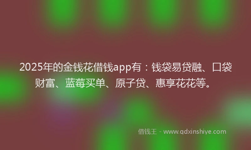 2025年的金钱花借钱app有：钱袋易贷融、口袋财富、蓝莓买单、原子贷、惠享花花等。
