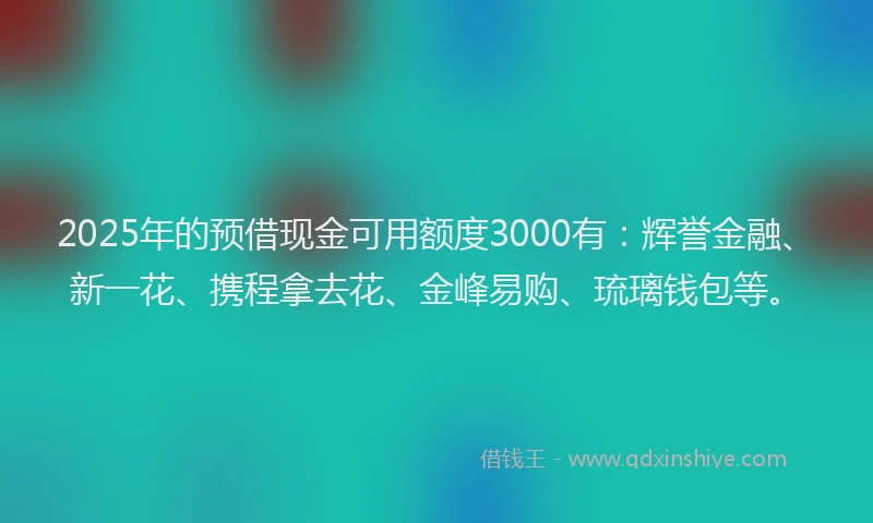 2025年的预借现金可用额度3000有：辉誉金融、新一花、携程拿去花、金峰易购、琉璃钱包等。