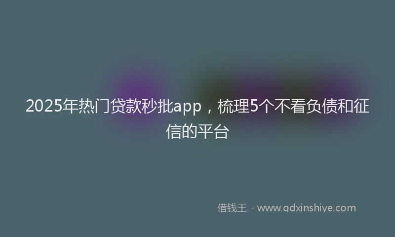 2025年热门贷款秒批app，梳理5个不看负债和征信的平台