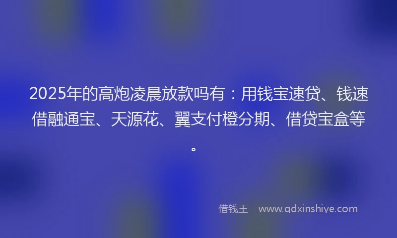 2025年的高炮凌晨放款吗有：用钱宝速贷、钱速借融通宝、天源花、翼支付橙分期、借贷宝盒等。