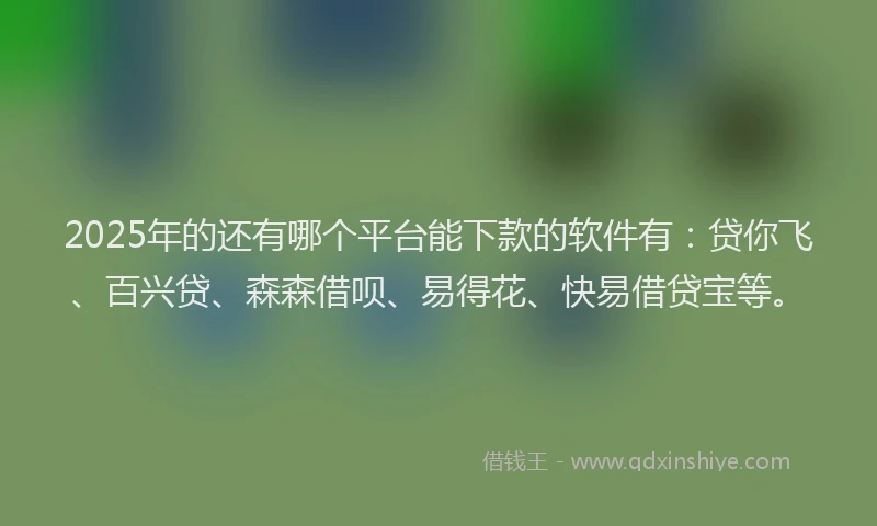 2025年的还有哪个平台能下款的软件有：贷你飞、百兴贷、森森借呗、易得花、快易借贷宝等。