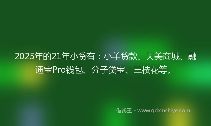 2025年的21年小贷有：小羊贷款、天美商城、融通宝Pro钱包、分子贷宝、三枝花等。