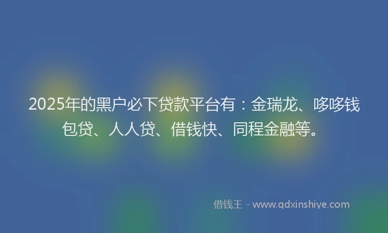 2025年的黑户必下贷款平台有：金瑞龙、哆哆钱包贷、人人贷、借钱快、同程金融等。