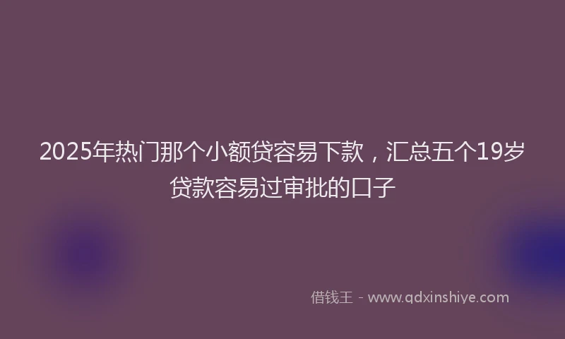 2025年热门那个小额贷容易下款，汇总五个19岁贷款容易过审批的口子