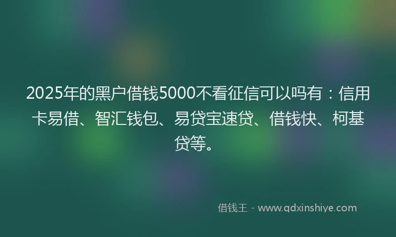 2025年的黑户借钱5000不看征信可以吗有：信用卡易借、智汇钱包、易贷宝速贷、借钱快、柯基贷等。