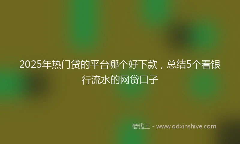 2025年热门贷的平台哪个好下款，总结5个看银行流水的网贷口子