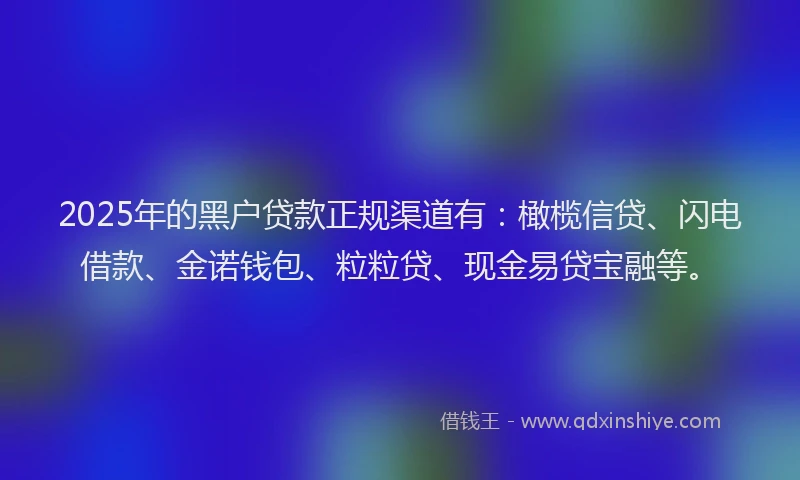 2025年的黑户贷款正规渠道有：橄榄信贷、闪电借款、金诺钱包、粒粒贷、现金易贷宝融等。