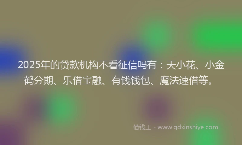 2025年的贷款机构不看征信吗有：天小花、小金鹤分期、乐借宝融、有钱钱包、魔法速借等。
