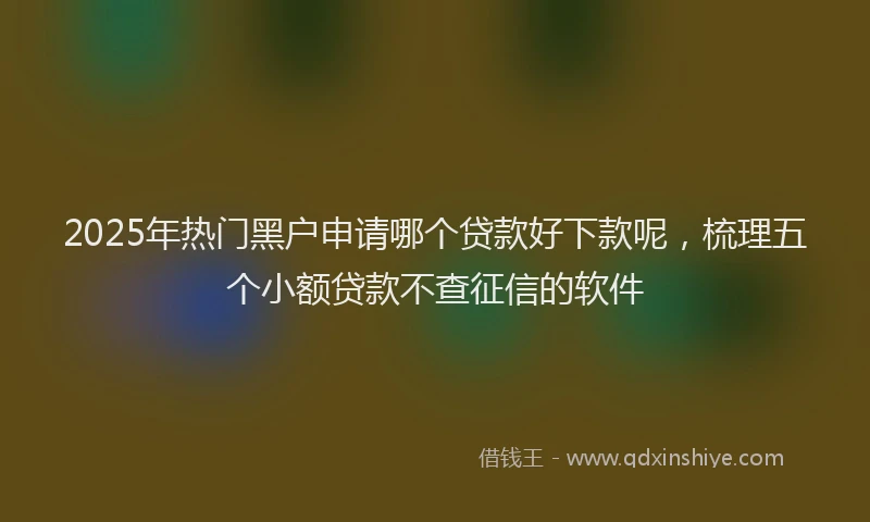 2025年热门黑户申请哪个贷款好下款呢，梳理五个小额贷款不查征信的软件