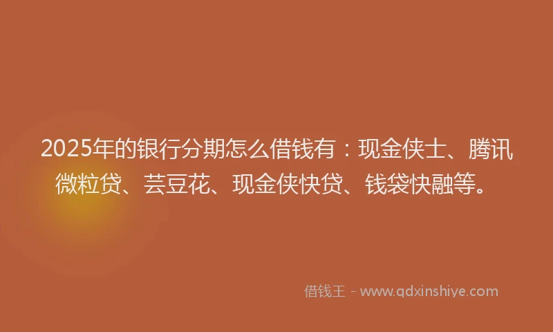 2025年的银行分期怎么借钱有：现金侠士、腾讯微粒贷、芸豆花、现金侠快贷、钱袋快融等。
