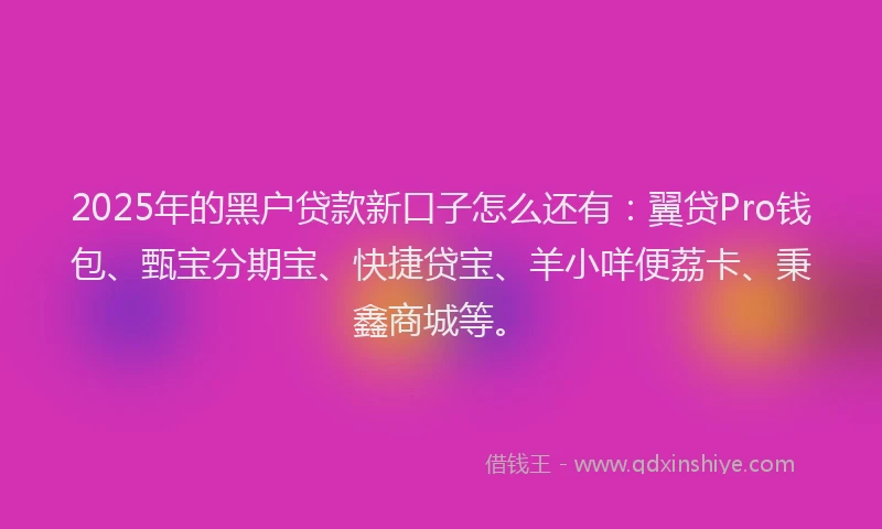2025年的黑户贷款新口子怎么还有：翼贷Pro钱包、甄宝分期宝、快捷贷宝、羊小咩便荔卡、秉鑫商城等。
