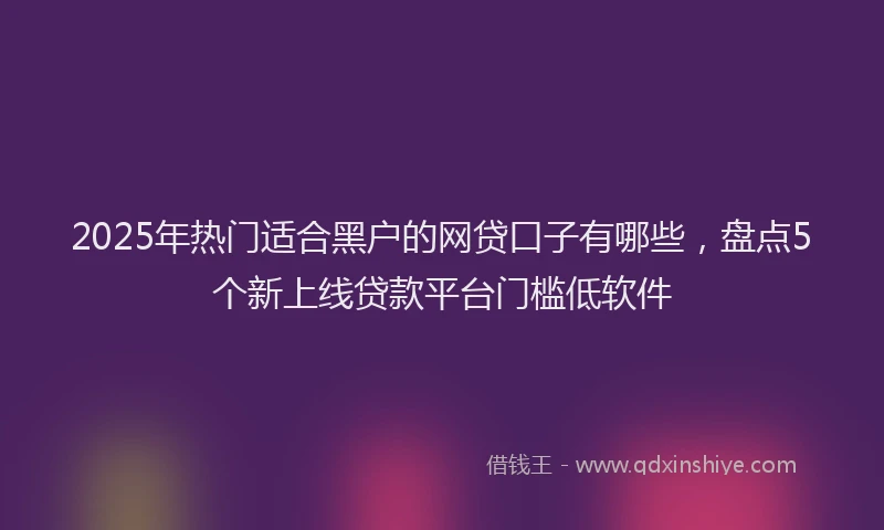 2025年热门适合黑户的网贷口子有哪些，盘点5个新上线贷款平台门槛低软件