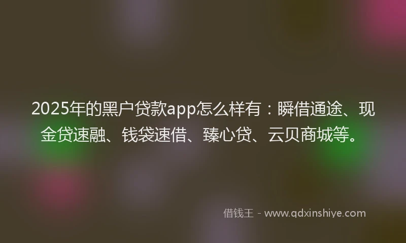 2025年的黑户贷款app怎么样有：瞬借通途、现金贷速融、钱袋速借、臻心贷、云贝商城等。