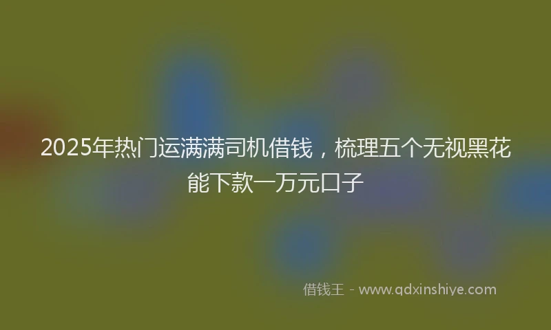2025年热门运满满司机借钱，梳理五个无视黑花能下款一万元口子