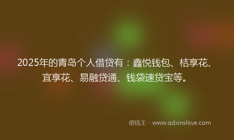 2025年的青岛个人借贷有：鑫悦钱包、桔享花、宜享花、易融贷通、钱袋速贷宝等。