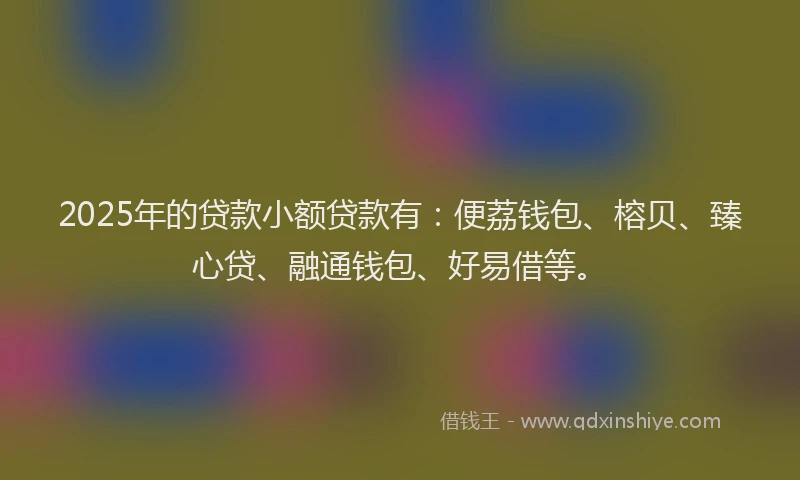 2025年的贷款小额贷款有：便荔钱包、榕贝、臻心贷、融通钱包、好易借等。