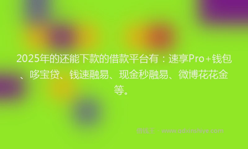 2025年的还能下款的借款平台有：速享Pro+钱包、哆宝贷、钱速融易、现金秒融易、微博花花金等。