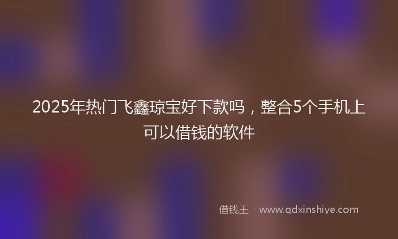 2025年热门飞鑫琼宝好下款吗，整合5个手机上可以借钱的软件