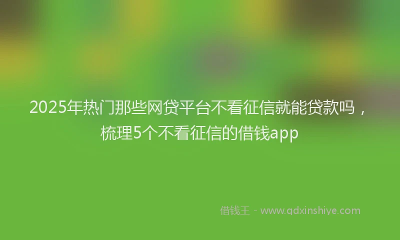2025年热门那些网贷平台不看征信就能贷款吗，梳理5个不看征信的借钱app
