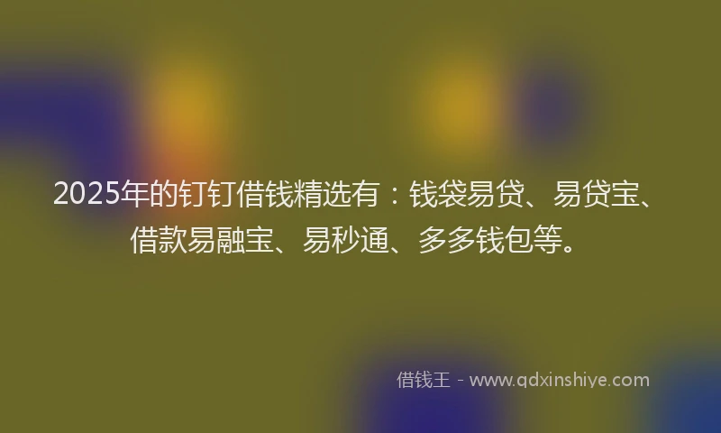 2025年的钉钉借钱精选有：钱袋易贷、易贷宝、借款易融宝、易秒通、多多钱包等。