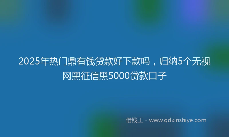 2025年热门鼎有钱贷款好下款吗，归纳5个无视网黑征信黑5000贷款口子