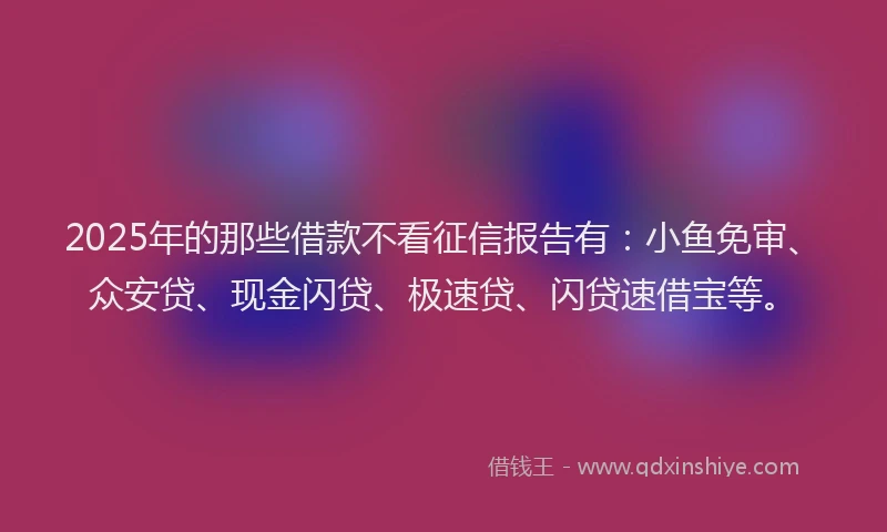 2025年的那些借款不看征信报告有：小鱼免审、众安贷、现金闪贷、极速贷、闪贷速借宝等。