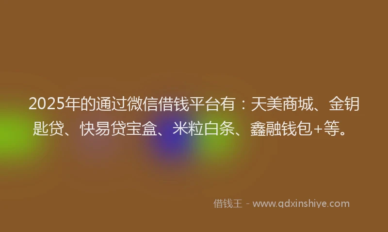 2025年的通过微信借钱平台有：天美商城、金钥匙贷、快易贷宝盒、米粒白条、鑫融钱包+等。
