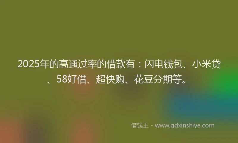 2025年的高通过率的借款有：闪电钱包、小米贷、58好借、超快购、花豆分期等。