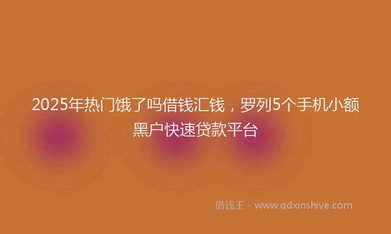 2025年热门饿了吗借钱汇钱，罗列5个手机小额黑户快速贷款平台