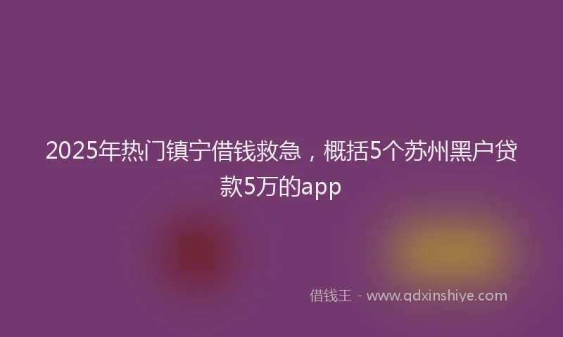 2025年热门镇宁借钱救急，概括5个苏州黑户贷款5万的app