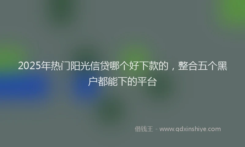 2025年热门阳光信贷哪个好下款的，整合五个黑户都能下的平台