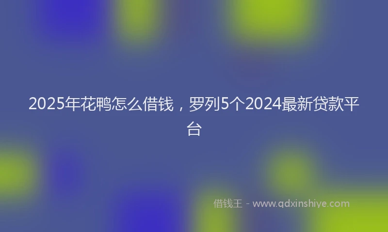 2025年花鸭怎么借钱，罗列5个2024最新贷款平台
