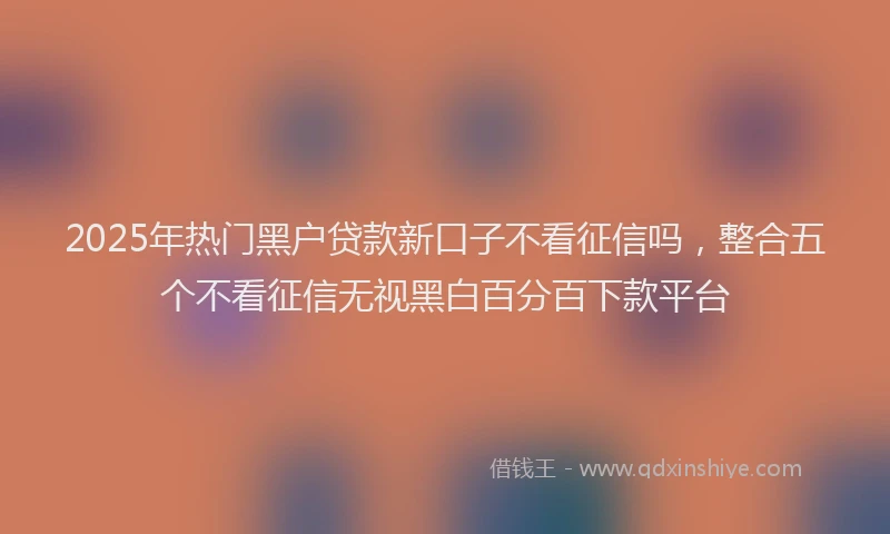 2025年热门黑户贷款新口子不看征信吗，整合五个不看征信无视黑白百分百下款平台