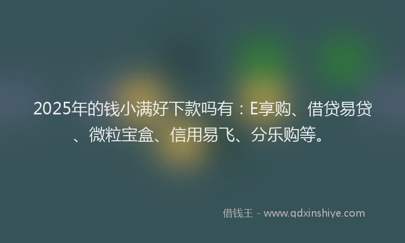 2025年的钱小满好下款吗有：E享购、借贷易贷、微粒宝盒、信用易飞、分乐购等。
