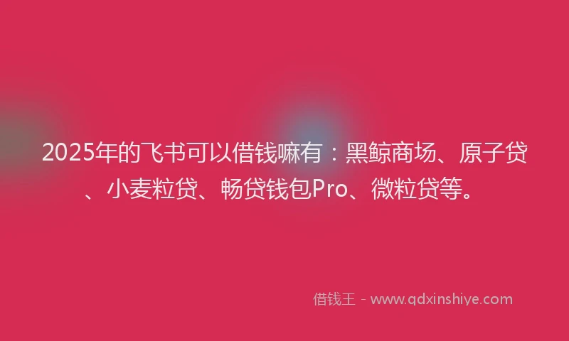 2025年的飞书可以借钱嘛有：黑鲸商场、原子贷、小麦粒贷、畅贷钱包Pro、微粒贷等。