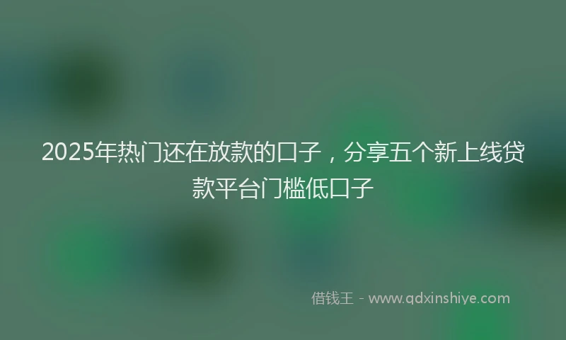 2025年热门还在放款的口子，分享五个新上线贷款平台门槛低口子