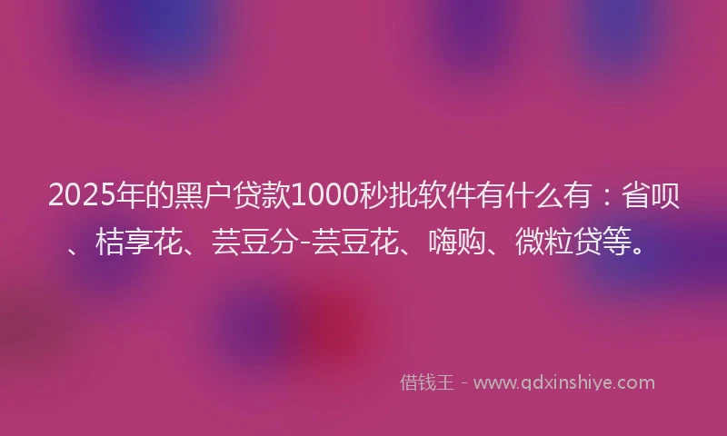 2025年的黑户贷款1000秒批软件有什么有：省呗、桔享花、芸豆分-芸豆花、嗨购、微粒贷等。