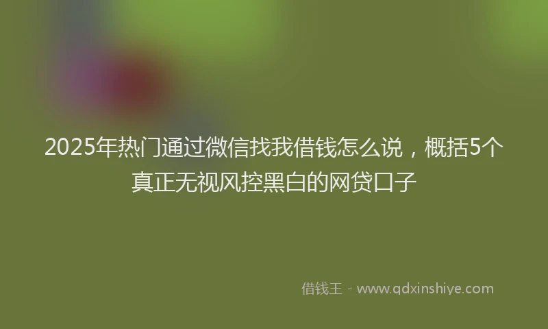 2025年热门通过微信找我借钱怎么说，概括5个真正无视风控黑白的网贷口子