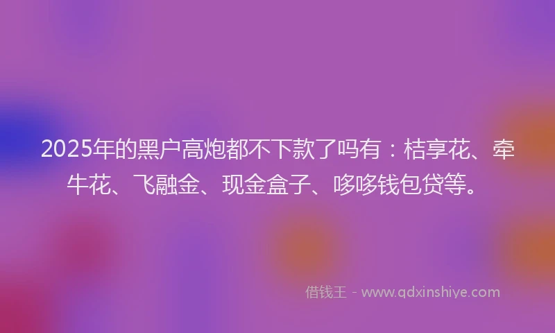 2025年的黑户高炮都不下款了吗有：桔享花、牵牛花、飞融金、现金盒子、哆哆钱包贷等。