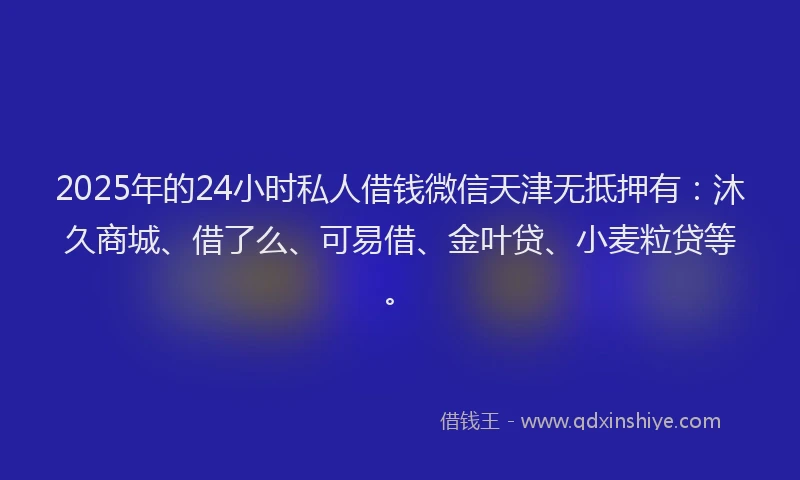 2025年的24小时私人借钱微信天津无抵押有：沐久商城、借了么、可易借、金叶贷、小麦粒贷等。