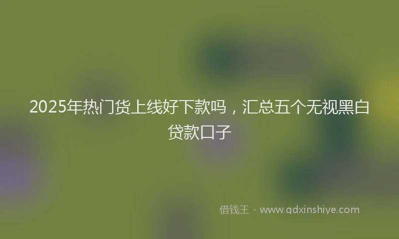 2025年热门货上线好下款吗，汇总五个无视黑白贷款口子