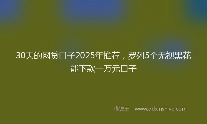 30天的网贷口子2025年推荐，罗列5个无视黑花能下款一万元口子