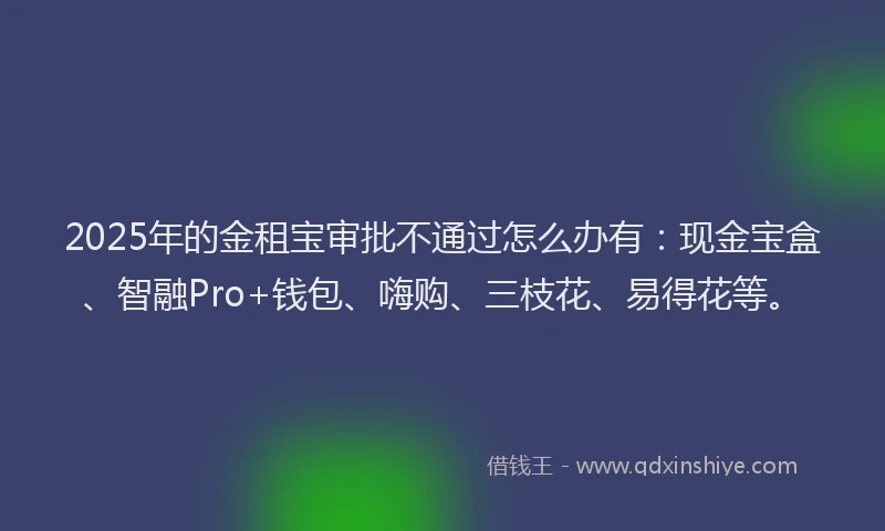 2025年的金租宝审批不通过怎么办有：现金宝盒、智融Pro+钱包、嗨购、三枝花、易得花等。