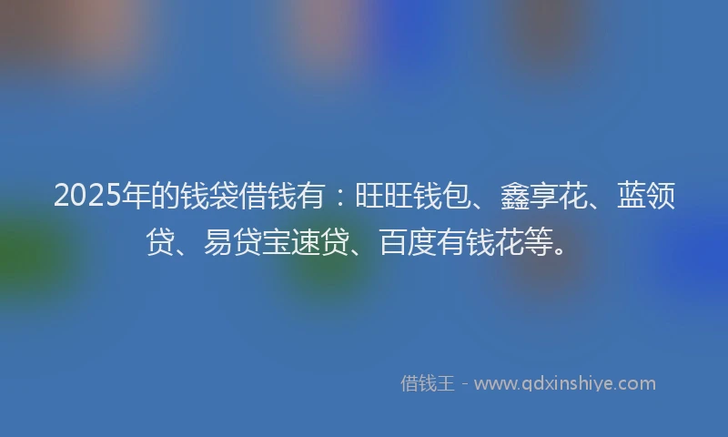 2025年的钱袋借钱有：旺旺钱包、鑫享花、蓝领贷、易贷宝速贷、百度有钱花等。