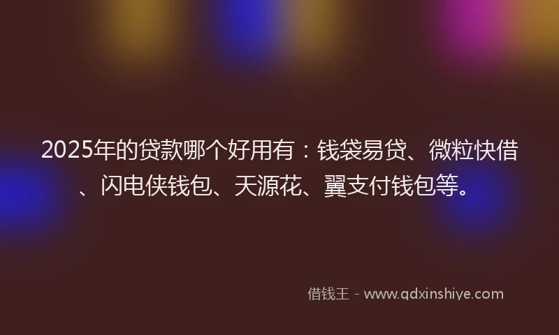 2025年的贷款哪个好用有：钱袋易贷、微粒快借、闪电侠钱包、天源花、翼支付钱包等。