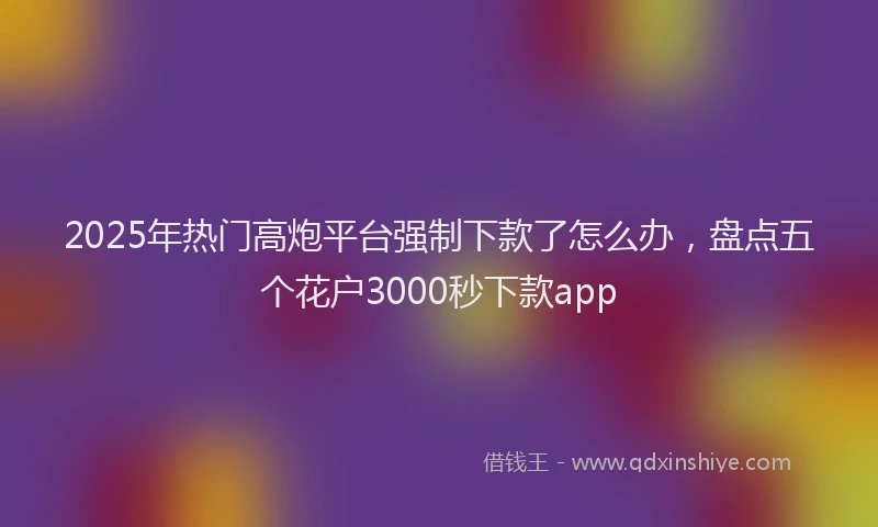 2025年热门高炮平台强制下款了怎么办，盘点五个花户3000秒下款app