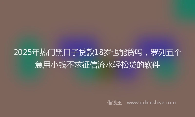 2025年热门黑口子贷款18岁也能贷吗，罗列五个急用小钱不求征信流水轻松贷的软件