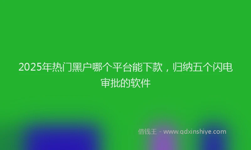 2025年热门黑户哪个平台能下款，归纳五个闪电审批的软件